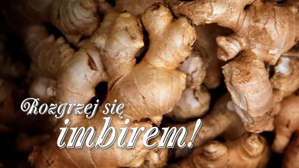 Imbir i jego właściwości